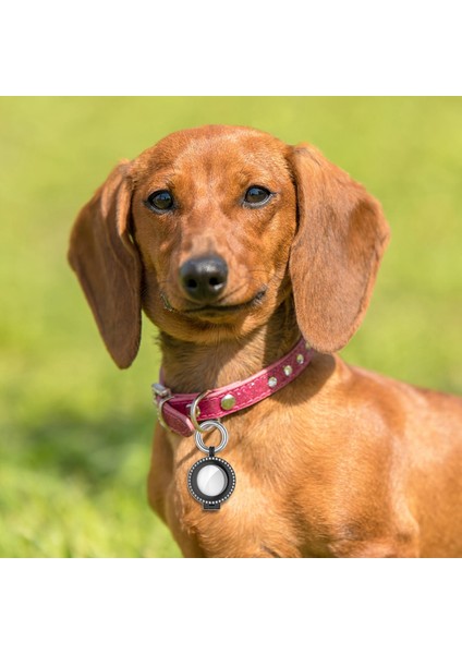Siyah Elmas Için Kayıp Konum Koruyucu Kasa (Yurt Dışından) fiyatları