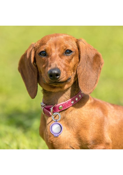 2021 Için Koruyucu Kasa, Metal Tutucu, Anahtarlar, Sırt Çantaları, Astar Işık (Yurt Dışından) fiyatları