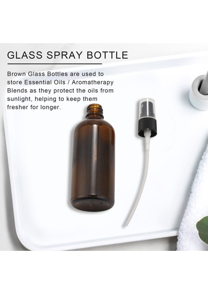 Siyah Atomıser Spreyli 100ML Amber Cam Sprey Şişesi, Doldurulabilir (Yurt Dışından)