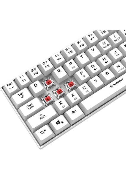 KB-RX63 B-Atom Beyaz Bluetooth Rgb Backlight Red Swıtch Mekanik Q 63 Tuşlu Mini Gaming Oyuncu Klavyesi