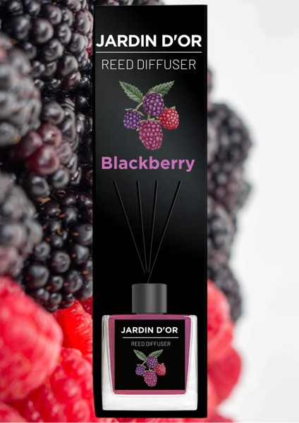 Blackberry Reed Dıffuser 100 ml 8681529301438