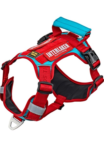 Köpek Harness Koşum Takımı Hafif Küçük ve Büyük Köpekler Uzanma Önleyici Göğüs Tasması 2.0
