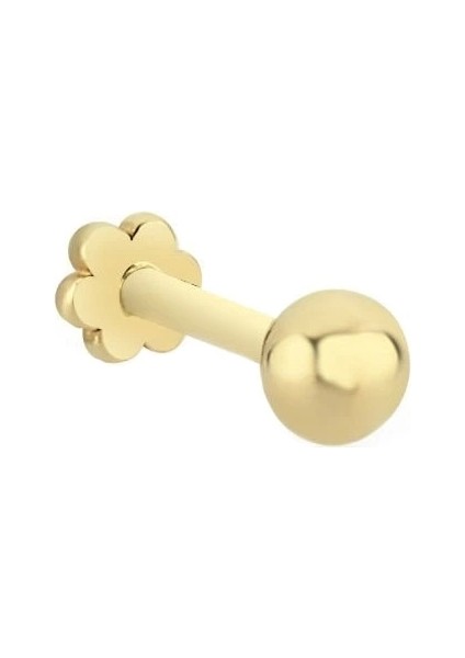 14 Ayar Top Altın Tragus Küpe