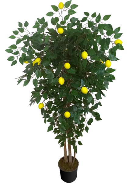 Limon Ağacı Tek Gövde 160CM, Yapay Ağaç, Saksılı