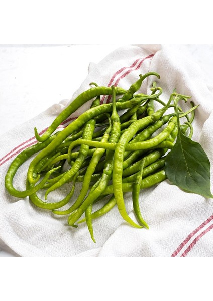 Tatlı Kıl Biber Tohumu Capsicum Annuum