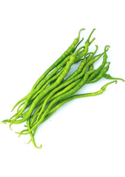 Tatlı Kıl Biber Tohumu Capsicum Annuum fırsatları