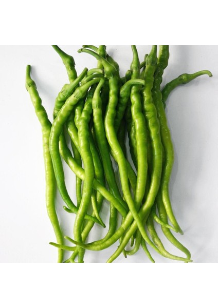 Tatlı Kıl Biber Tohumu Capsicum Annuum indirimleri