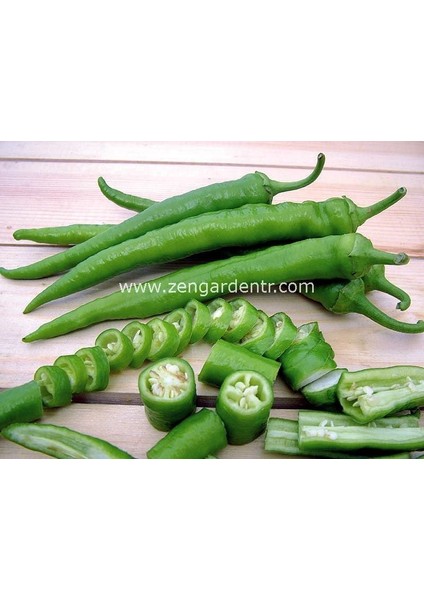 Tatlı Sivri Biber Tohumu Capsicum Annuum