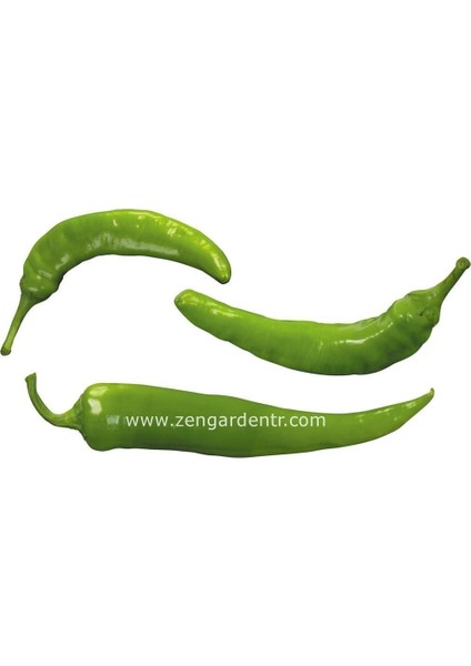 Tatlı Sivri Biber Tohumu Capsicum Annuum fiyatları