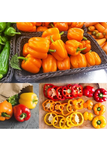 Portakal Rengi Biber Tohumu Orange California Wonder Bell Pepper modelleri