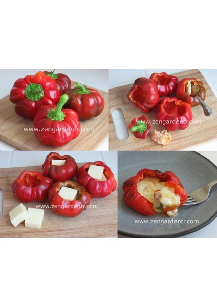 Peynir Biberi Tohumu Tatlı Tipi Geleneksel Red Cheese Pepper Seeds fiyatları
