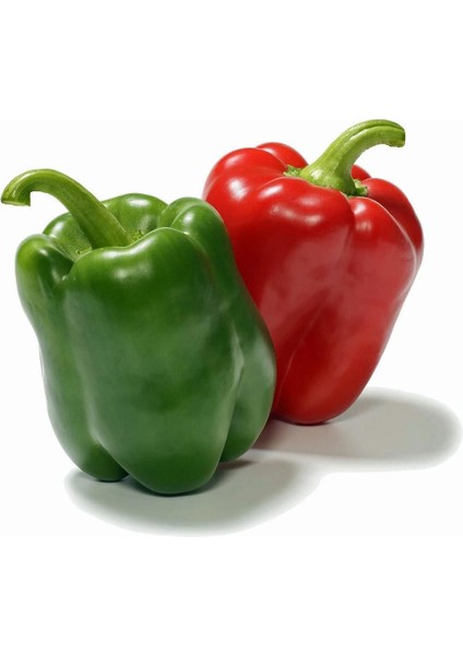 Kırmızı Yeşil Biber Tohumu Yolo Wonder Bell Pepper