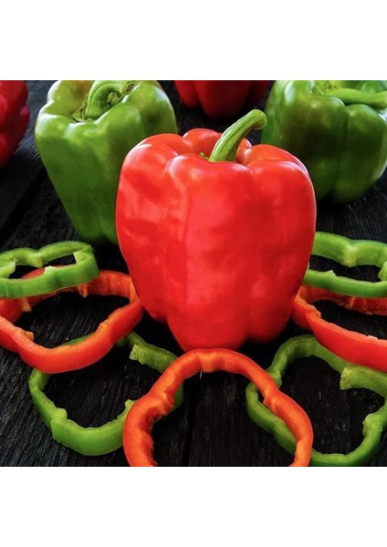 Kırmızı Yeşil Biber Tohumu Yolo Wonder Bell Pepper fiyatları