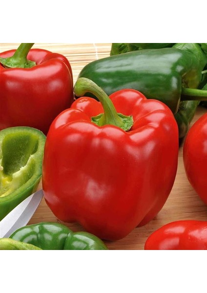 Kırmızı Yeşil Biber Tohumu Yolo Wonder Bell Pepper fırsatları