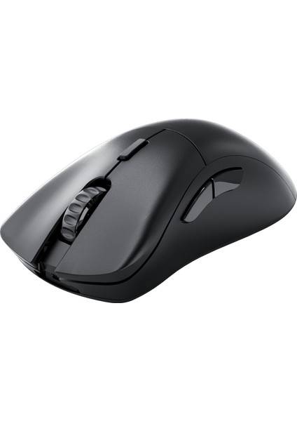 Model D 2 Pro 1k Polling Siyah Kablosuz Oyuncu Mouse