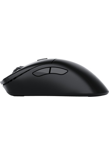 Model D 2 Pro 1k Polling Siyah Kablosuz Oyuncu Mouse