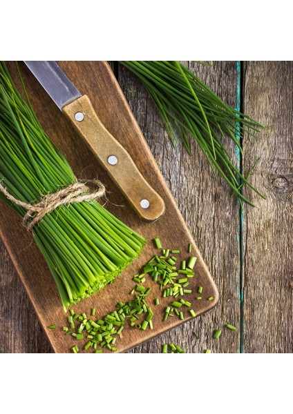 Frenk Soğanı Tohumu Soğan Otu Onion Chives modelleri