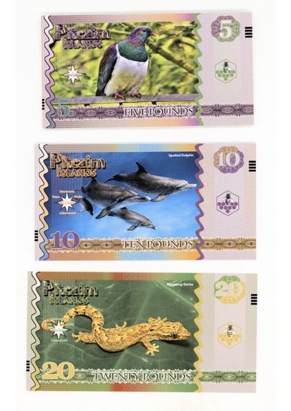 6 Adet Kraliçe Fantasi Paralar Çil Banknot
