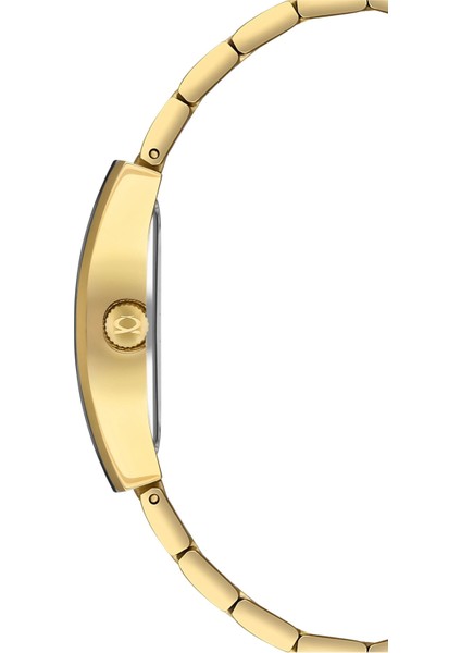 NC34-391046-DBCM Kadın Kol Saati fiyatları