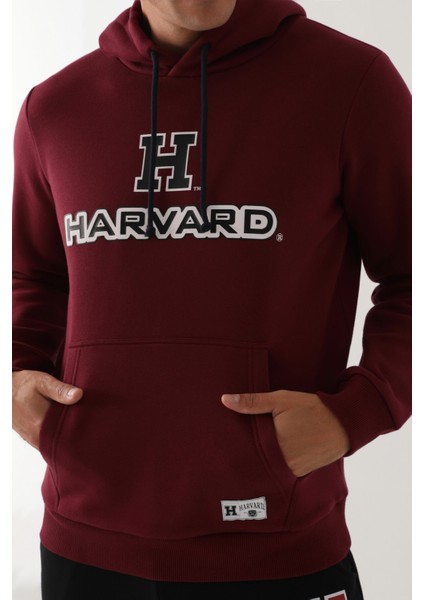 Koyu Kızıl Kahve Erkek Sweatshirt modelleri