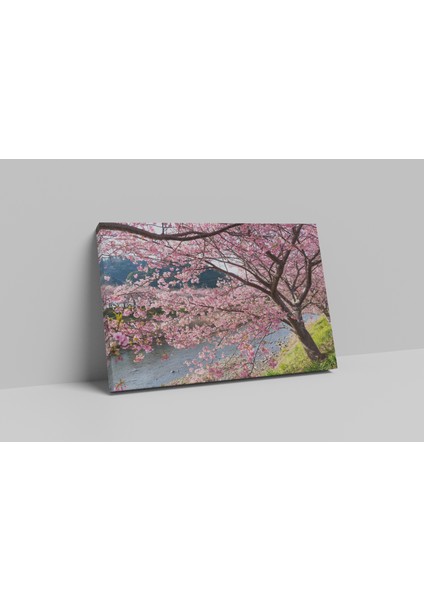 Sakura Ağacı 50 x 70 Kanvas Tablo