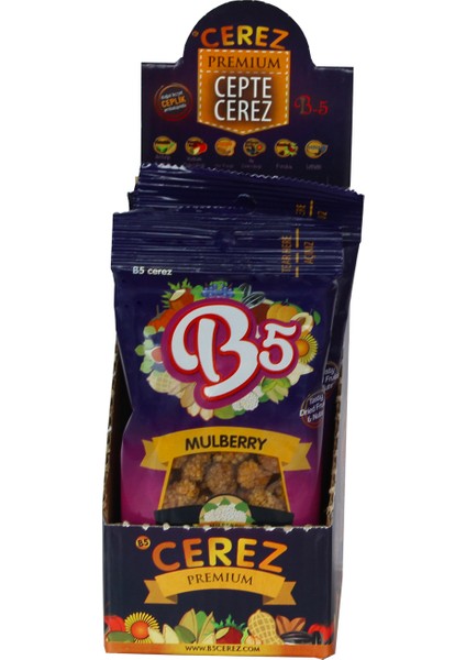 B5 Çerez Kuru Dut 4 x 30 gr