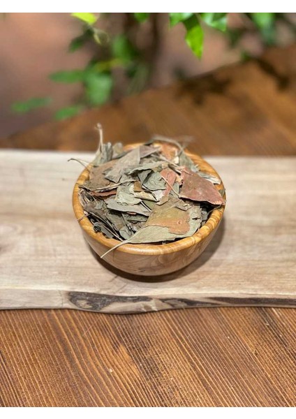 Ginkgo Biloba 40 gr fiyatları