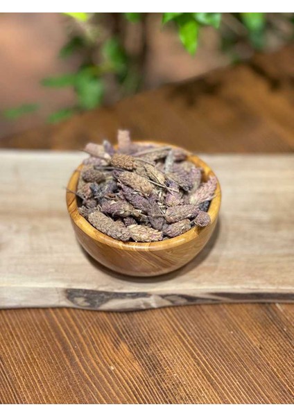 Karabaş Otu 34 gr fiyatları