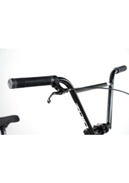 Bmx Zoid Info Pro Freecoaster Akrobasi Bisikleti Mat Mor 20.50 modelleri
