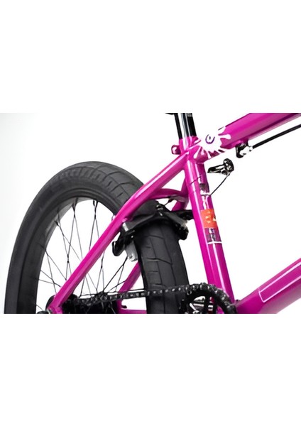Bmx Zoid Info Pro Freecoaster Akrobasi Bisikleti Mat Mor 20.50 indirimleri