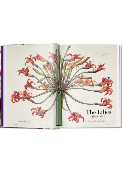 The Book Of Flowers