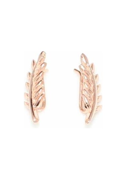 925 Ayar Gümüş Akasya Yaprağı Earcuff Küpe fiyatları