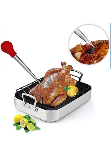 Tüm Siyah Set Paslanmaz Çelik Hindi Baster Şırınga Pişirme Et Enjektör Seti Fırça ve Marine Iğne ile Profesyonel Et Şırıngası (Yurt Dışından) fırsatları