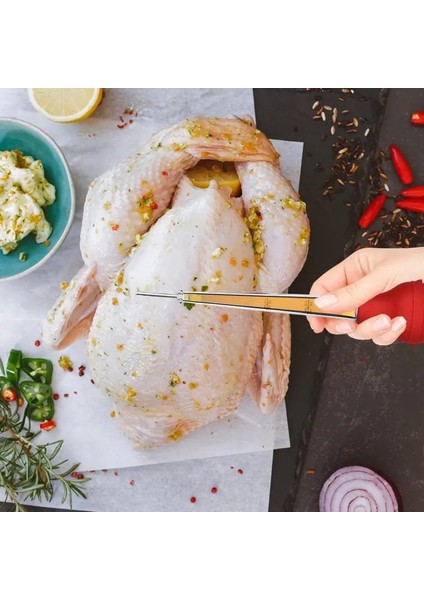 Kırmızı 6.5X6.5X31.5CM Türkiye Baster Şırınga Pompası Ayrılabilir Gıda Sınıfı Sos Enjeksiyonlu Pişirme Temelleri Ev Pişirme Mutfak Aksesuarları (Yurt Dışından) fiyatları