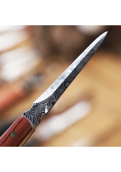 Style1 Paslanmaz Çelik Çay Bıçağı Çay Kesici Çay Iğnesi Kung Fu Çay Töreni Çin Sandal Ağacı Puer Çay Bıçağı Hediye Caja De Te Teaware (Yurt Dışından)