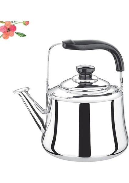 Resim 1 Boyut 3 Su Isıtıcısı Set Üstü Çaydanlık Çay Düdüklü Çelik Ocak Büyük Potkahve Paslanmaz Metal Kaynar Su Süzgeç Bardak Görevi Ağır Düdük (Yurt Dışından)