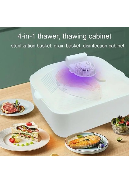 Beyaz Buz Çözme Makinesi Dörtü Bir Arada Hızlı Biftek Evde Çözdürme Sistemi Dondurulmuş Et Mutfak Gıda Hava Kurutma Çözdürme Kilidi Çok Fonksiyonlu (Yurt Dışından)