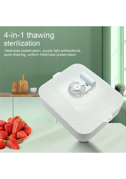 Beyaz Buz Çözme Makinesi Dörtü Bir Arada Hızlı Biftek Evde Çözdürme Sistemi Dondurulmuş Et Mutfak Gıda Hava Kurutma Çözdürme Kilidi Çok Fonksiyonlu (Yurt Dışından) fırsatları