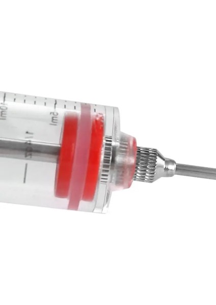 Kırmızı Et Enjektörü Hindi Baster Şırınga Barbekü Et Şırıngası Marinade Enjektör Domuz Biftek Et Sosları Şırıngalar Paslanmaz Çelik (Yurt Dışından) fiyatları