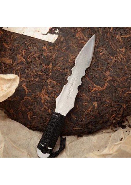 Hiçbir Kutu 1 Adet Puerh Çay Bıçağı Iğne Puer Bıçak Koni Paslanmaz Çelik Metal Uç Çay Seti Kalınlaşma Puer Bıçak Çay Aksesuarları (Yurt Dışından) fırsatları