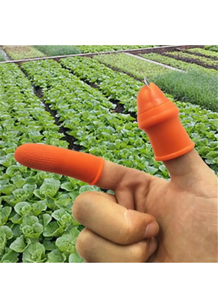 C-Large-02 Başparmak Toplama Bıçağı Çiftlik Sebze Meyve Seçici Parmak Koruyucu Biber Turşusu Ucu Seçici Aracı Demir Tırnak Çekme Üzüm Seçici Bıçak (Yurt Dışından)