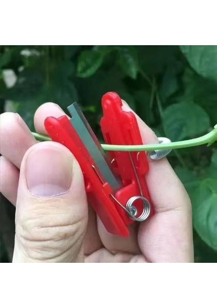 Bordo 1 Adet Çok Fonksiyonlu Başparmak Bıçak Bahçe Pruner Meyve Toplama Cihazı Güvenli Meyve Bıçağı Aracı Kesme Bıçağı Yüzükler Parmak Koruyucu (Yurt Dışından) modelleri