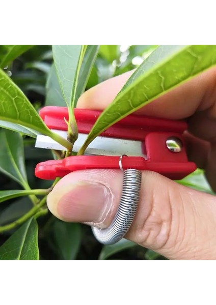 Bordo 1 Adet Çok Fonksiyonlu Başparmak Bıçak Bahçe Pruner Meyve Toplama Cihazı Güvenli Meyve Bıçağı Aracı Kesme Bıçağı Yüzükler Parmak Koruyucu (Yurt Dışından) indirimleri