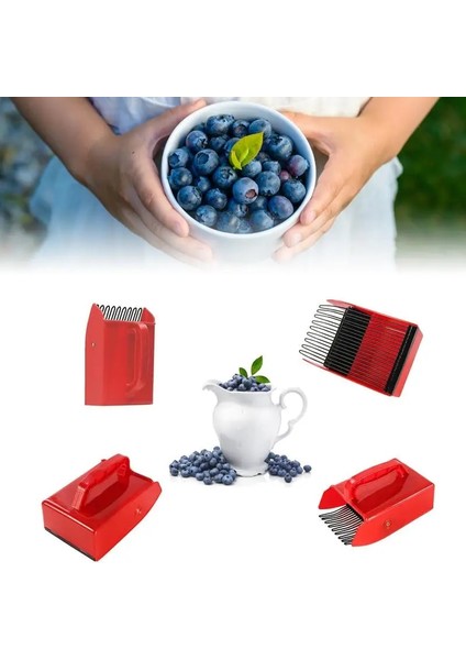 Berry Seçici Tarak Metal Tarak Tırmık Toplama Meyve Toplama Kepçe Kolu Yabanmersini Koleksiyonu Biçerdöver Toplama Bahçe Aletleri (Yurt Dışından)