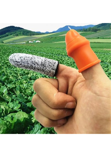 Gösterisi Olarak 8 Adet 5/8/10 Adet Meyve Bahçesi Meyve Sebze Sebze Hasat Bıçağı Parmak Koruyucu Silikon Hasat Bıçağı (Yurt Dışından)