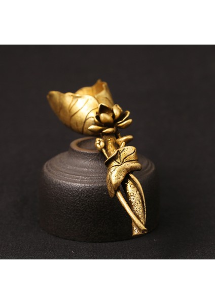 1 Adet Yaratıcı Pirinç Bakır Çay Kaşığı Şeker Kürek Lotus Kökü Çay Kaşığı Spatula Altın Kahve Kaşığı Teaware Dondurma Mutfak Aracı (Yurt Dışından) fırsatları