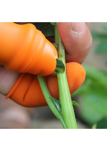 06 5x2.7x0.8 cm Silikon Başparmak Mes Vinger Koruyucu Dişliler Snijden Groente Oogsten Mes Bıçak Bitki Bıçak Schaar Tuin Handschoenen (Yurt Dışından) fırsatları