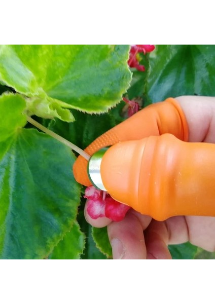 1 Takım L Bahçe Silikon Başparmak Bıçak Parmak Koruyucu Çiftlik Sebze Meyve Üzüm Seçici Dişliler Kesme Sebze Hasat Araçları (Yurt Dışından) modelleri