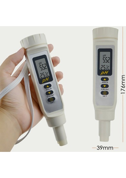 Az 8689 Değiştirilebilir Problu Dijital Ph Metre (Su Geçirmez) 0-14