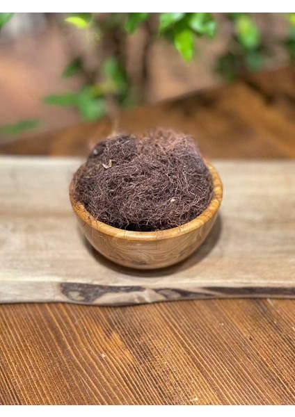 Mısır Püskülü 34 gr fiyatları